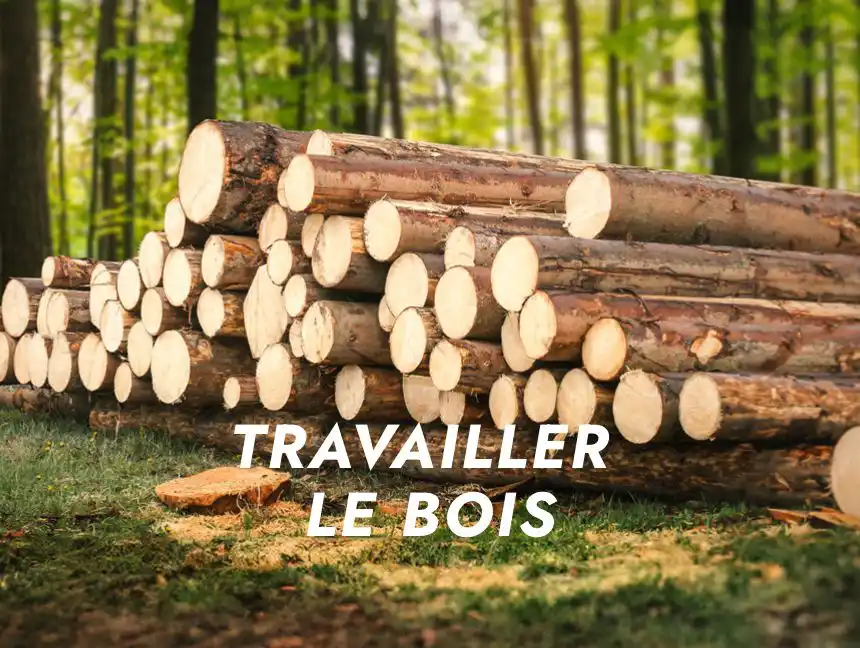 Image de bois coupé dans une foret, avec le texte TRAVAILLER LE BOIS en surbrillance par dessus