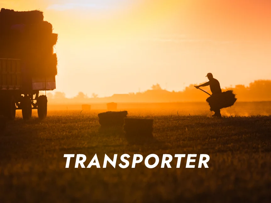 image d'un champs au coucher du soleil, avec le texte TRANSPORTER en surbrillance par dessus