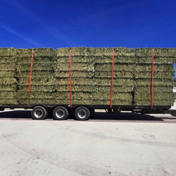 Plateau fourrager marque Gyrax, chargé de paille, vue de profil droit.