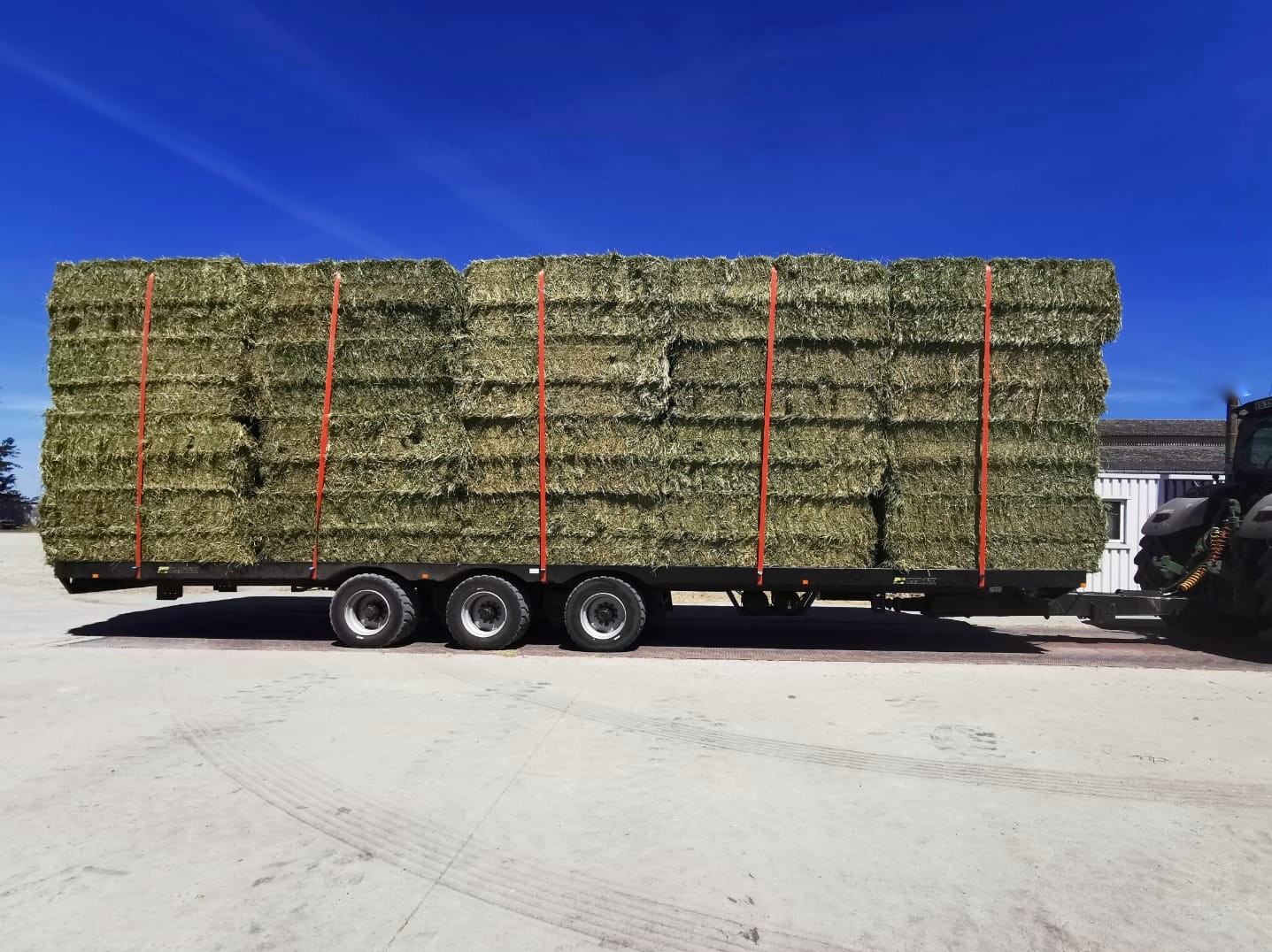 Plateau fourrager marque Gyrax, chargé de paille, vue de profil droit.