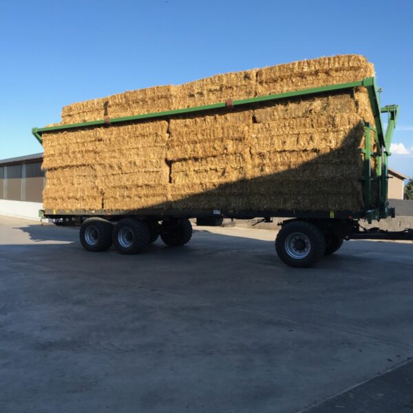 Plateau fourrager tourelles vert de marque Gyrax, chargé de botte de paille rectangulaires