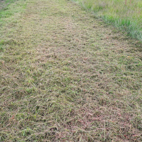 Photo du résultat avant après, après le passage d'un broyeur BHM Gyrax