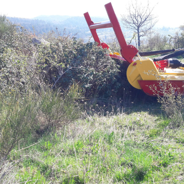Broyeur forestier GYRAX Grande Vision en action dans une végétation dense